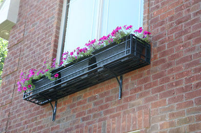 AC1-0063 Window Box by Jeff Benson 